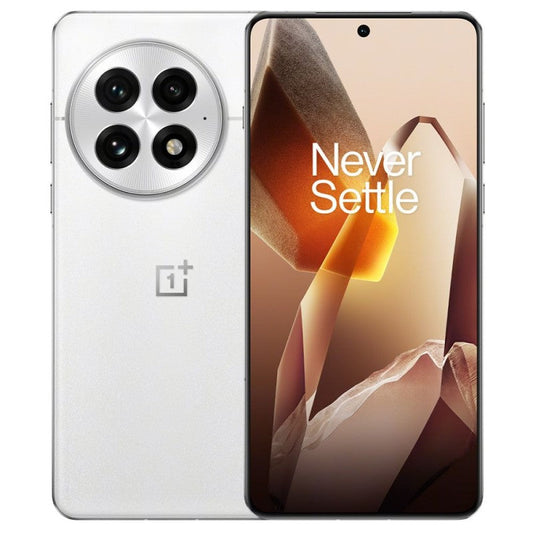 OnePlus 13 256GB (Arctic Dawn)